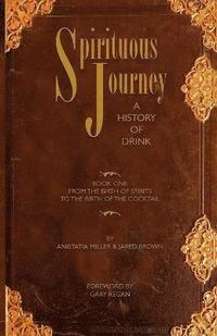 bokomslag Spirituous Journey: Book 1