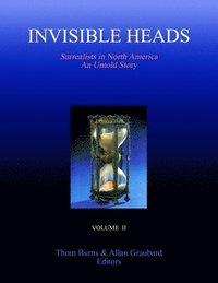 bokomslag Invisible Heads