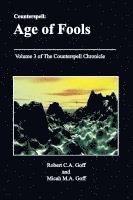 bokomslag Counterspell: Age of Fools: Volume 3 of the Counterspell Chronicle