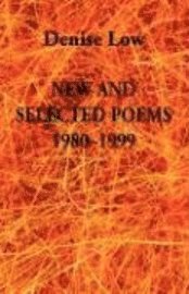bokomslag New & Selected Poems: 1980-1999