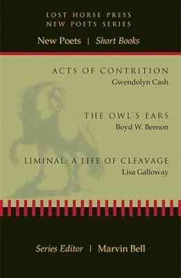 bokomslag New Poets, Short Books