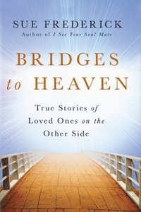 bokomslag Bridges to Heaven
