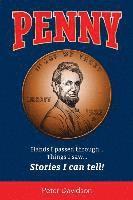 Peter Davidson - Penny: Hands I Passed Through...Things I saw...Stories I Can Tell!, Häftad