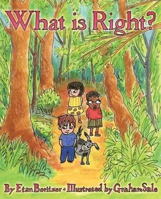 Etan Boritzer - What is Right?, Häftad