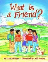 Etan Boritzer, Etan BoritzerIllustrated by Jeff Vernon - What is a Friend?, Häftad
