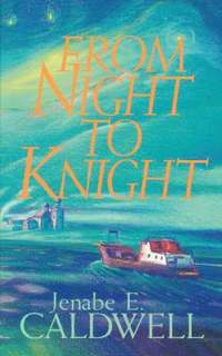 bokomslag From Night to Knight