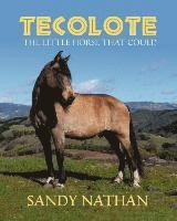 bokomslag Tecolote: The Little Horse That Could