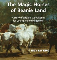 bokomslag The Magic Horses of Beanie Land