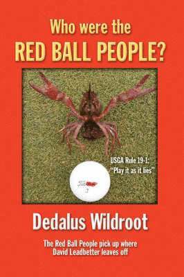 bokomslag Who Were the Red Ball People?