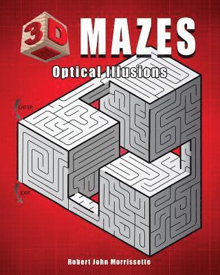 bokomslag 3D Mazes: Optical Illusions