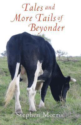 Stephen Morris - Tales And More Tails Of Beyonder, Häftad