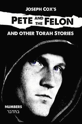 bokomslag Pete and the Felon: And other Torah Stories