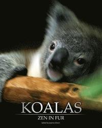 bokomslag Koalas: Zen In Fur