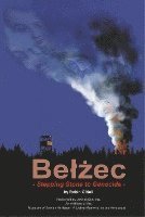 bokomslag Belzec