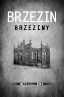 Brzezin Memorial Book 1