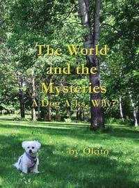 bokomslag The World and the Mysteries