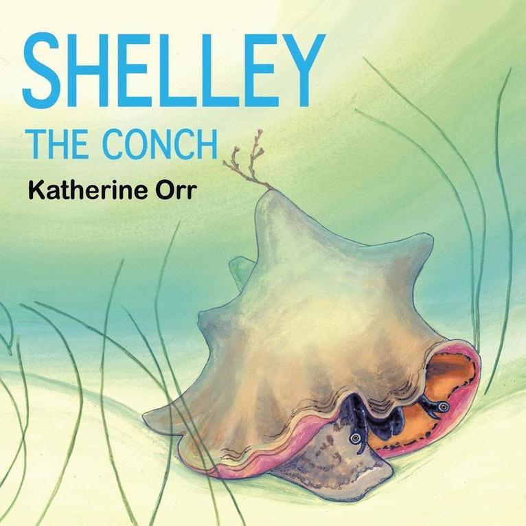 Shelley the Conch 1