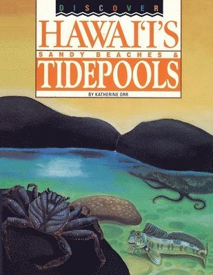 Discover Hawaii's Sandy Beaches and Tidepools 1