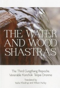 bokomslag Water and Wood Shastras
