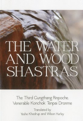 bokomslag Water and Wood Shastras