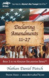 bokomslag Declaring Amendments 11-27
