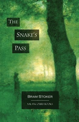 bokomslag Snake's Pass
