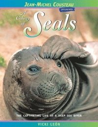 bokomslag A Colony of Seals