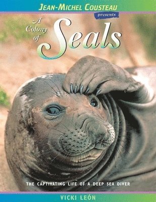 A Colony of Seals 1