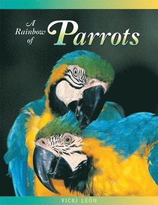 Rainbow Of Parrots 1