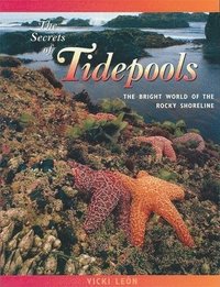 bokomslag The Secrets of Tidepools