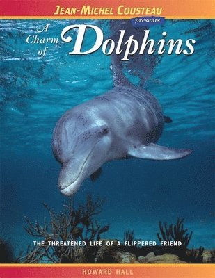 bokomslag A Charm of Dolphins