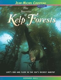 bokomslag The Secrets of Kelp Forests
