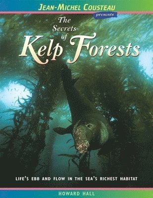 The Secrets of Kelp Forests 1