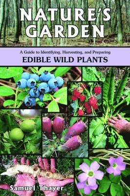 Samuel Thayer - Nature's Garden: A Guide to Identifying, Harvesting, and Preparing Edible Wild Plants, Häftad