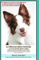 bokomslag La Reincarnation Animales et La Vie Animale Apres La Mort: Reponses a toutes les Questions de votre Coeur!