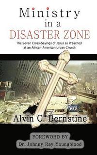 bokomslag Ministry In A Disaster Zone: The Seven Cross-Sayings as Preached In An African American Urban Church