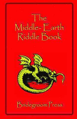 bokomslag Middle Earth Riddle Book