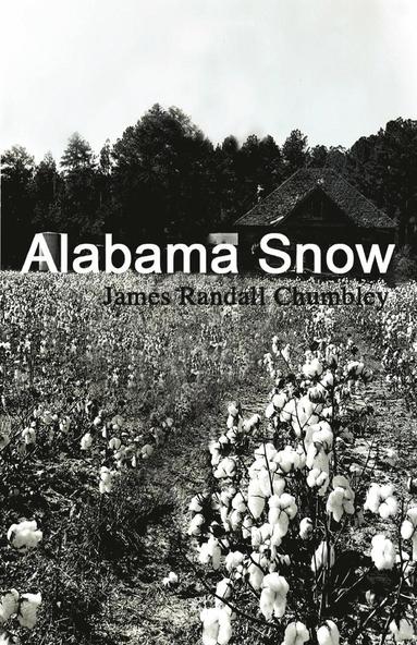 bokomslag Alabama Snow