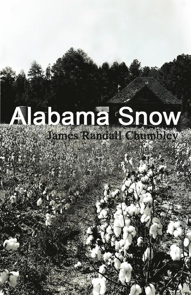 Alabama Snow 1