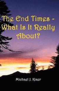 bokomslag The End Times - What Is It Really About?