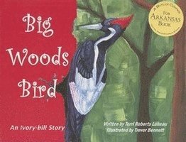 Big Woods Bird 1