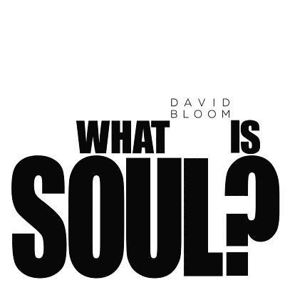 What Is Soul? 1