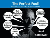 bokomslag The Perfect Fool!