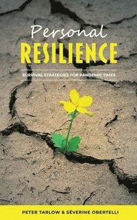 bokomslag Personal Resilience