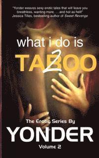 bokomslag What I do is Taboo 2