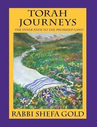 bokomslag Torah Journeys