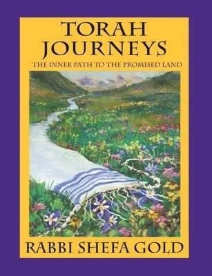 bokomslag Torah Journeys
