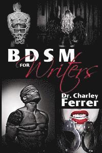 bokomslag BDSM for Writers