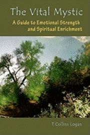 bokomslag The Vital Mystic: A Guide to Emotional Strength and Spiritual Enrichment