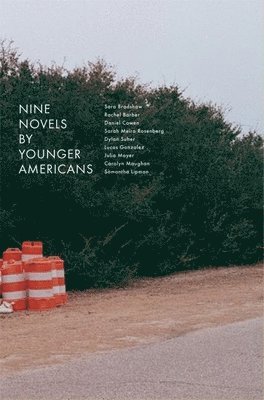 bokomslag Nine Novels by Younger Americans